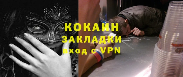 шишки Балахна