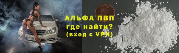 шишки Балахна