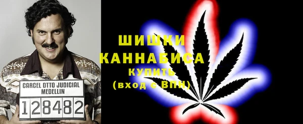 шишки Балахна