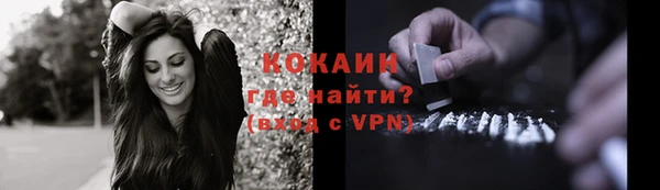 шишки Балахна