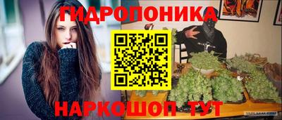 прущие крисы Краснодар