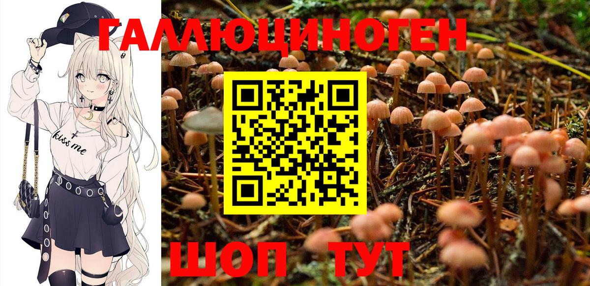Коммунар  Псилоцибиновые грибы Cubensis  Псилоцибиновые грибы мухоморы  Вход с VPN 